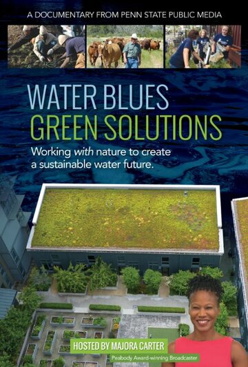 Water Blues: Green Solutions (2014)